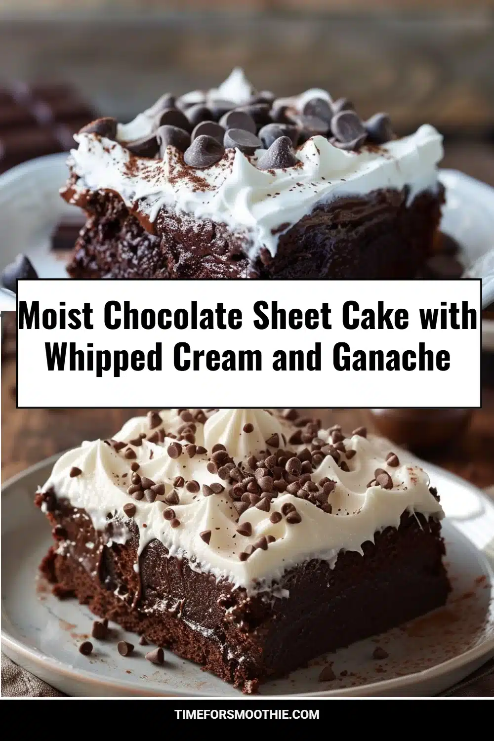 Moist Chocolate Sheet Cake with Whipped Cream and Ganache